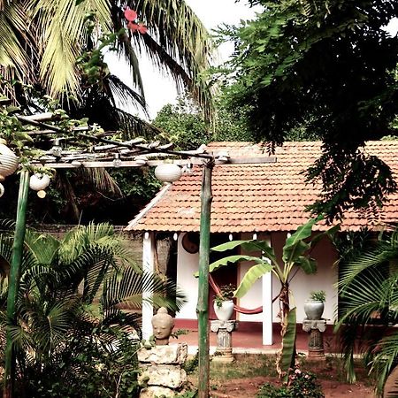 ג'פנה Allens Home Stay מראה חיצוני תמונה