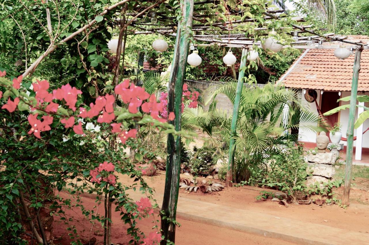 ג'פנה Allens Home Stay מראה חיצוני תמונה
